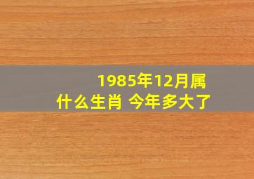 1985年12月属什么生肖 今年多大了